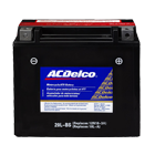 Acdelco batteries